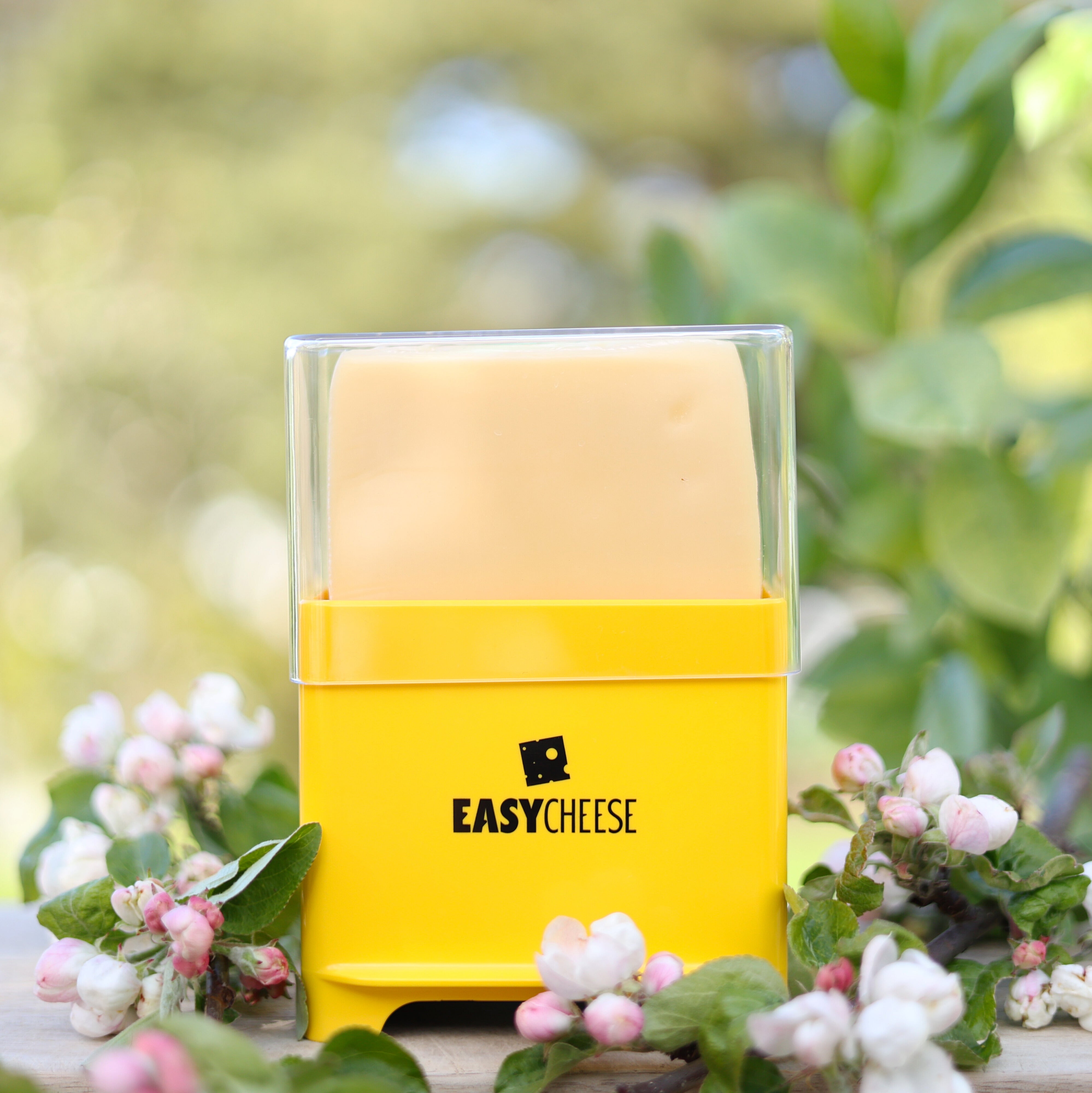 EasyCheese® Osteklokke Original - Limited Edition Gul