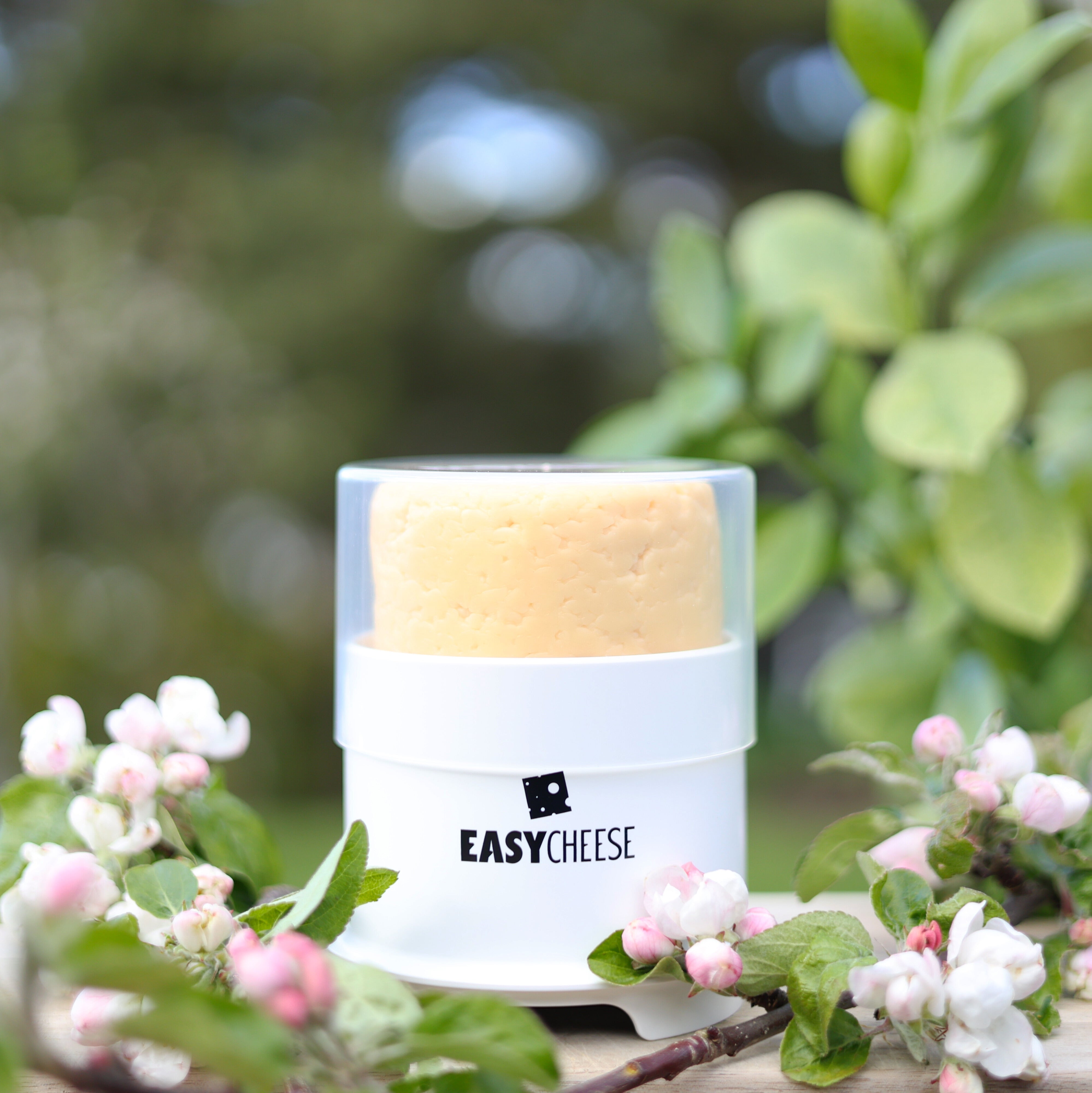 EasyCheese® Osteklokke Rund - Hvit