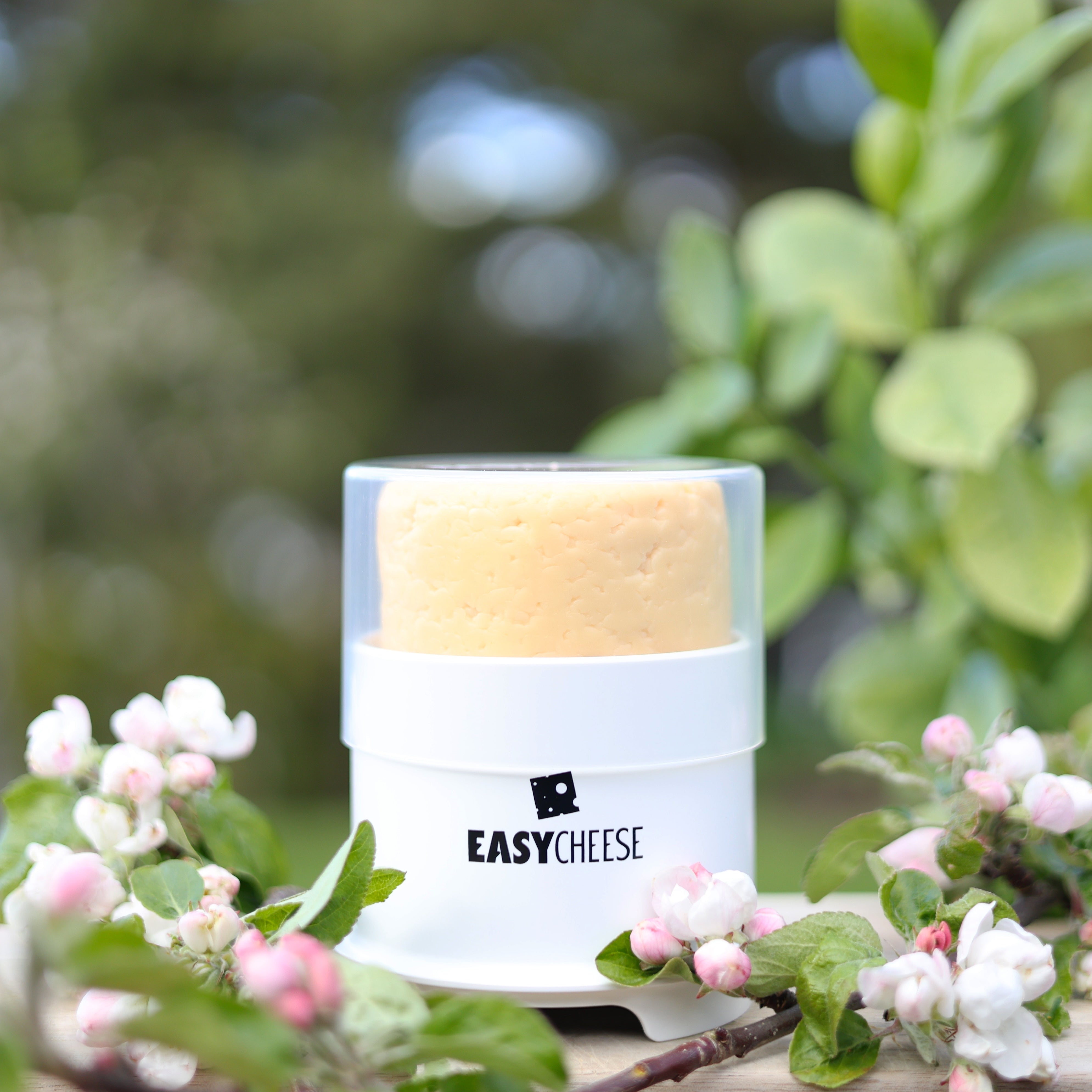 EasyCheese® Osteklokke Rund