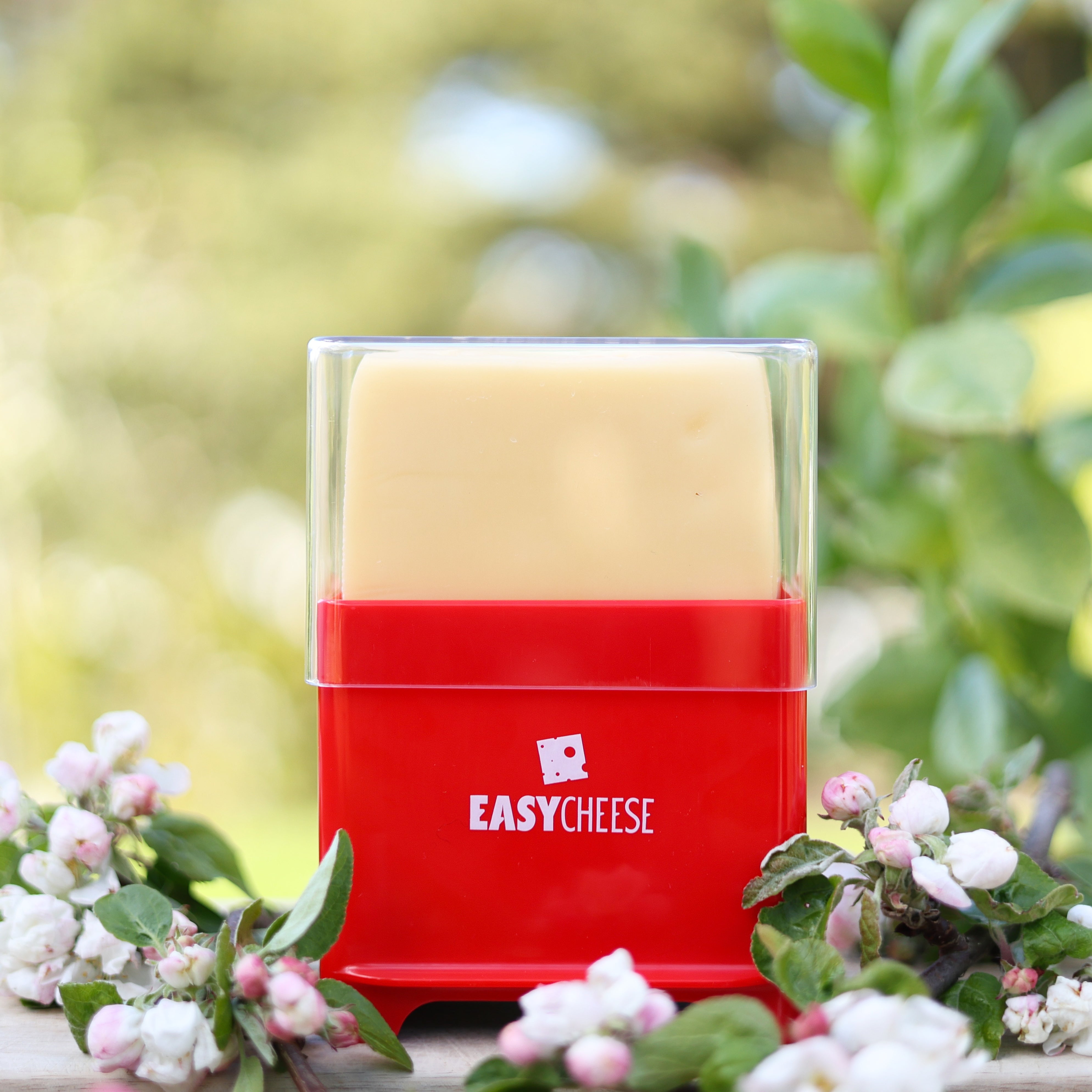 EasyCheese® Osteklokke Original - Limited Edition Rød